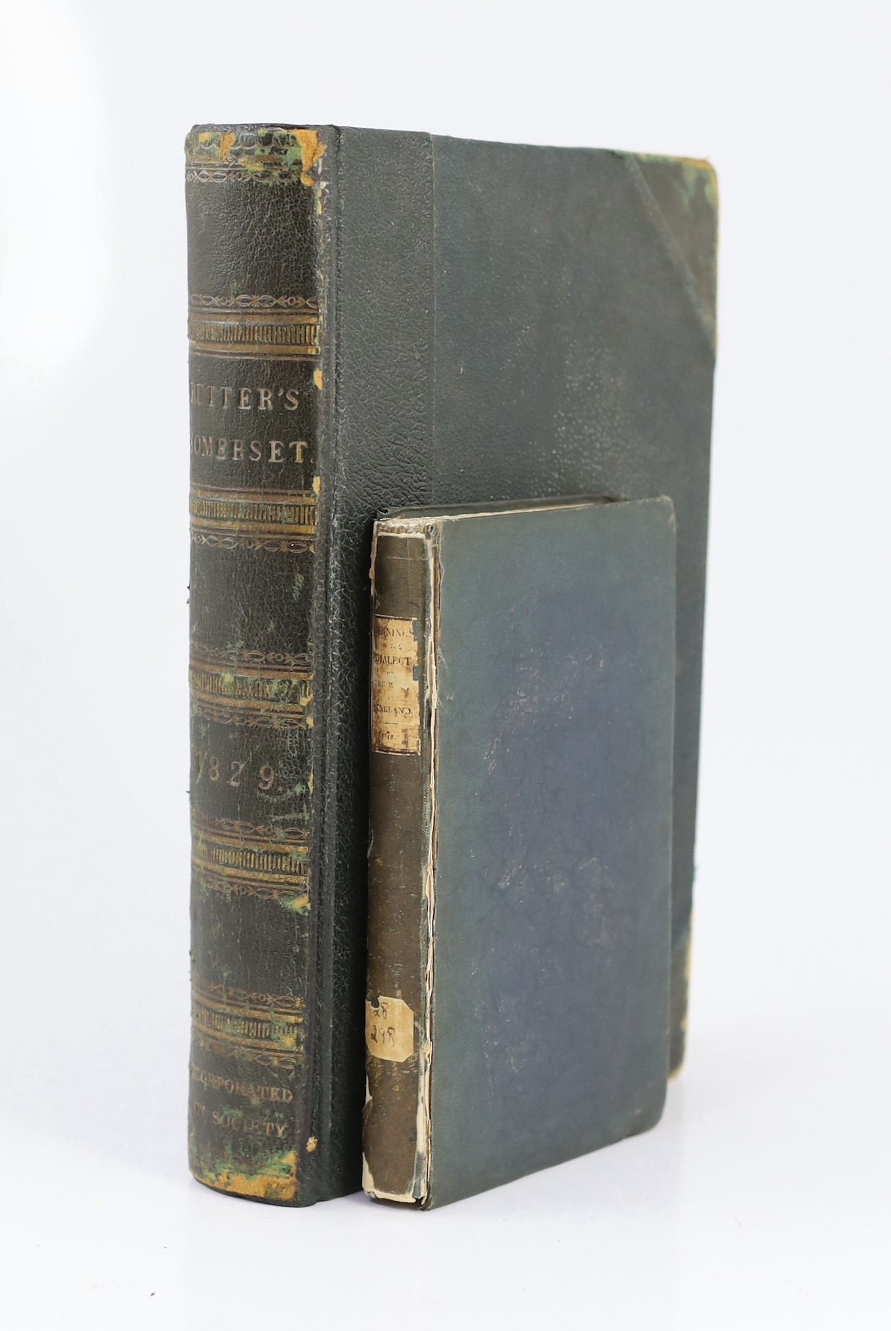 SOMERSET: Rutter, John - Delineations of the North Western Division of the County of Somerset, and of its Antediluvian Bone Caverns...pictorial vignette printed title, pictorial engraved 'additional illustrations' title,